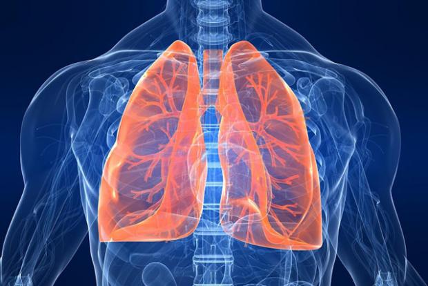 Namirnice koje čuvaju i jačaju pluća